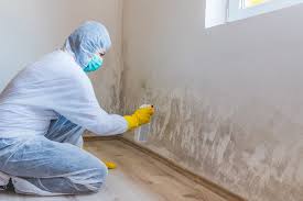 Best Mold Removal for HVAC Installations  in Hubbard, TX